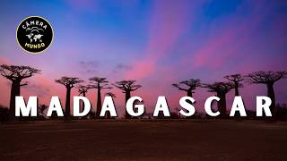 🌴 Madagascar Em 4K Ultra HD 🌴 [upl. by Dar]