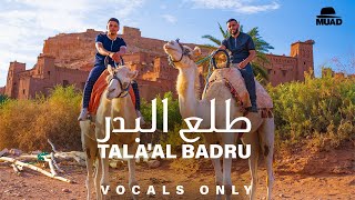 Muad X Firas  Talaal Badru Vocals Only [upl. by Kennard]