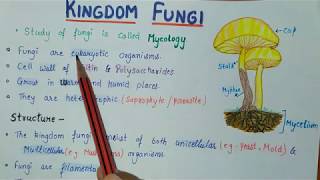 KINGDOM FUNGI PART1  BIOLOGICAL CLASSIFICATION  BIOLOGY CLASS 11 [upl. by Sanford641]