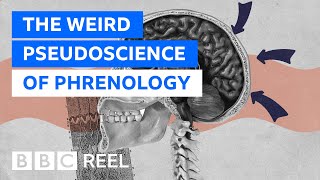 Phrenology The weirdest pseudoscience of them all  BBC REEL [upl. by Phares518]