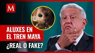 ¿Qué son los aluxes criatura mitológica maya que AMLO presumió en POLÉMICA fotografía [upl. by Enelyw384]