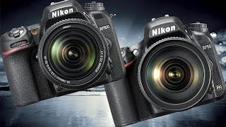 Nikon D7500 Tutorial  How To Setup Your DSLR [upl. by Dwan810]