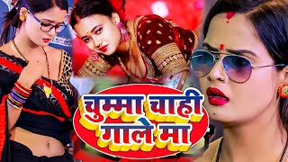 खुलम खुल्ला डांस वीडियो सोंग देखकर आपकी लार टपक जाएगी  2024 Bhojpuri Song Superhit 2024 [upl. by Joete461]