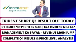 Trident Q1 Results 2025  Trident Share Result Today  Trident Share Latest News  Trident Share [upl. by Ydnys]