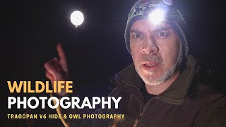 OWL PHOTOGRAPHY  Photographing Owls after Dark amp Tragopan V6 Hide Review Part 2 [upl. by Weiser]