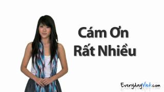 Learn Vietnamese Lesson 1 Thank You Youre Welcome and No Problem in Vietnamese [upl. by Azila]