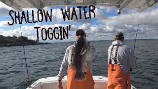 Narragansett Bay shallow water Tautog fishing [upl. by Wenona]