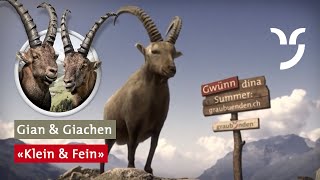 Steinbock Spot quotKlein und Feinquot [upl. by Enyamert]