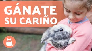 ¿Cómo GANARSE la CONFIANZA de un CONEJO 🐰🥕 9 Consejos Clave [upl. by Tsew]