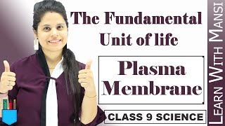 Plasma Membrane  Osmosis  Diffusion  Chapter 5  The Fundamental unit Of Life  Class 9 Science [upl. by Houghton]