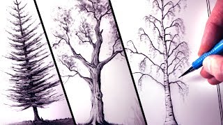 How to Draw Trees [upl. by Bergquist]