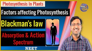 Factors affecting Photosynthesis Action Spectrum  Blackmans Law of limiting factor I NEET I KT [upl. by Euqram499]