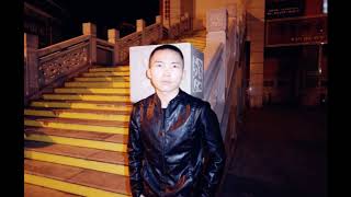 Jincheng Zhang  Electron I Love You Official Audio [upl. by Bywoods]