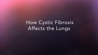 How Cystic Fibrosis Affects the Lungs [upl. by Jeddy]