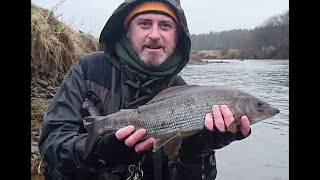 3lb 10oz Grayling  ARGHHHHHHH [upl. by Lennor]