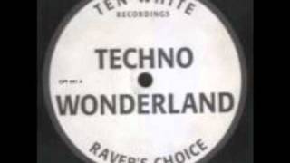 Techno Wonderland  Steve Smeeth  Dj Vibes [upl. by Aurelie407]