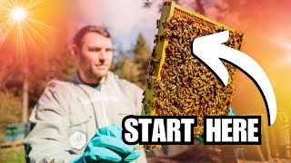 How To Start Beekeeping [upl. by Kablesh]