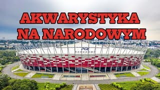 Targi akwarystyczne na stadionie narodowym 3032024 [upl. by Nnylsoj]