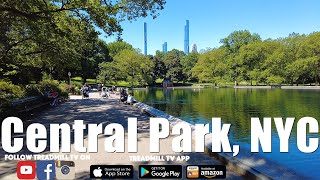 Central Park Virtual Run with Adam NYC [upl. by Jacquelin777]