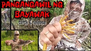 PESTCONTROL14 BAYAWAK TRAP quick set up GAMIT ANG HOOKSIMA O KAWIL pest control sa manokan [upl. by Kordula]