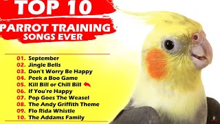 TOP 10 PARROT TRAINING SONGS EVER Whistle Training Teach Your Bird Cockatiel Singing Budgie [upl. by Badr]