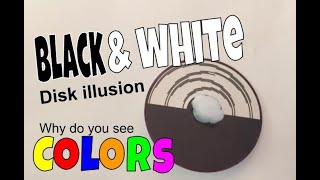 Black amp White Disk Illusion experiment [upl. by Beck912]