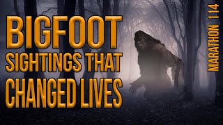 Bigfoot Sightings That Changed Lives Marathon 114 [upl. by Ecinahs]