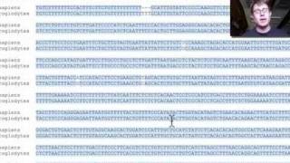 Evidence for Evolution [upl. by Floyd]