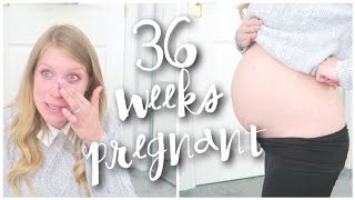 36 WEEKS PREGNANT  EMOTIONAL AGAIN amp MIDWIFE DRAMAS [upl. by Moody]