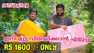 വില കുറവിൽ Incubator വാങ്ങാം  How to buy a incubator in kerala [upl. by Onibla]