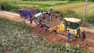 Good Powerfull Best Friend Job Helping Dump Trucks Driving Fails Of Struck Nearby​ Lotus Tree Water [upl. by Malaspina]