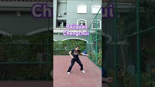 Bajiquan Chengchui Train this everyday bajiquan sports motivation martialarts [upl. by Alil]