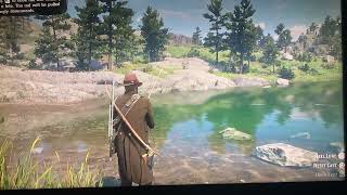 Rdr2 Sockeye Salmon Location [upl. by Slade332]