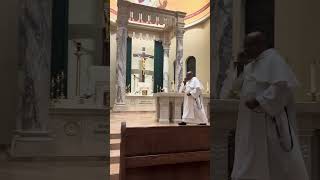 Fr Leon Pereira on the Medjugorje Apparitions [upl. by Aianat837]