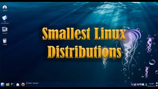 Smallest Linux Distributions [upl. by Feerahs224]