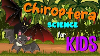 Chiroptera or Bats  Science for Kids [upl. by Yneffit387]