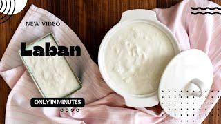 How to make probiotic yogurt Or Laban  Its So Easy at home [upl. by Ahsinal]