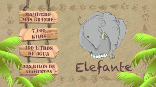 Las características del ELEFANTE [upl. by Adeuga880]