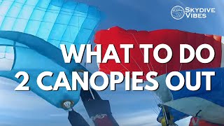 Two Canopies Out Malfunction  Skydiving Safety [upl. by Nnahtur]