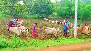 New Malto video 2023Bangla Kaldam pahadJharkhand ✍🏻 [upl. by Bendicty]