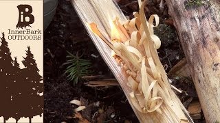 How to Make Feather Sticks Dry Tinder in Wet Weather [upl. by Tamis23]