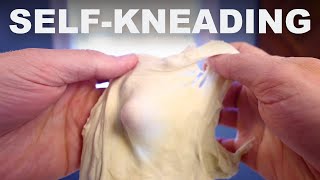 How an autolyse kneads your dough for you [upl. by Bobbe]