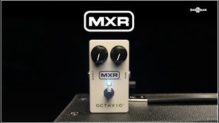 MXR M267 Octavio Fuzz  Gear4music demo [upl. by Hortensa868]