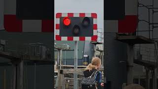 Exeter level crossing wigwag levelcrossing railroadcrossing [upl. by Ellissa]