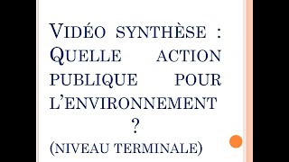 SES  Vidéo de synthèse du chapitre quotQuelle action publique pour lenvironnement quot Terminale [upl. by Mariellen]