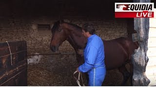 Portraits d’été  Retrouvailles entre Vincent Brazon et Oyonnax [upl. by Abel]