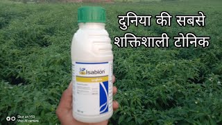 Isabion tonik दुनिया की सबसे ज्यादा शक्तिशाली टॉनिक [upl. by Uol]