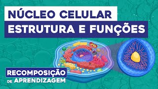 NÚCLEO CELULAR estrutura e funções  Biologia  Recomposição de Aprendizagem  Cláudia Souza Aguiar [upl. by Nicoline]