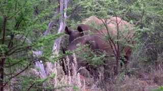 Waterberg Wilderness  Ihre Erlebniswelt am Tafelberg der Kalahari [upl. by Arodasi934]