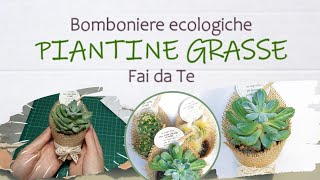 Piante grasse│BOMBONIERE ECOLOGICHE Fai da Te│TUTORIAL│i Quattro Elementi  Naturalis Solutio [upl. by Nottnerb]